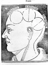 Aristotelis libri IV de coelo et mundo Cum Expositione S.Thomae de Aquino et Cum Additione Petri Alverniae. This is the book of Aristotle with the commentary of St. Thomas Aquinas with an additional explanation by Peter of Alvernia. Venice, edition of 1495