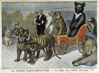 At the acclimatization garden: the cage of ferocious beasts - in “Le Petit Journal” of 02/06/1895