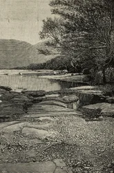 Banks of Gudda River, Africa, engraving from a photograph by V Bottego from L