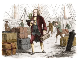 Bernard de Jussieu (1699-1777), French botanist bringing two cedars from Lebanon from England in 1734. Engraving from 1861.