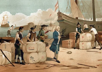 Bernard de Jussieu (1699-1777), French botanist, having brought back the cedar foot from England in 1734.