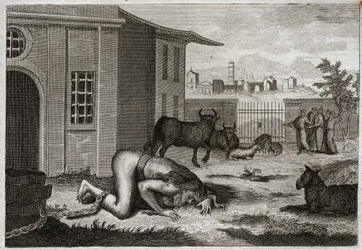 Bible of Royaumont, Old Testament: Nebuchadnezzar changes to beast. King Nebuchadnezzar II by just punishment for his pride is changed into beast. Illustration from 1811