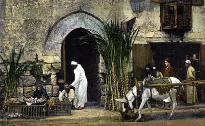 Cane Sugar Vendors, Cairo, Egypt, Postcard from the Early 20th Century