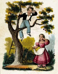 Cherry picking