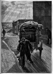 Chifonniers: a dog dog, by nature