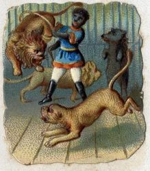 Circus: a tamer in a cage with wild animals