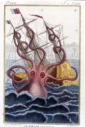 Colossal octopus (octopus, giant squid, kraken) attacking a ship - engraving from the book by Pierre Denys-Montfort (Denys de Montfort 1766-1820) “Histoire naturelle des mollusques”, original edition of 1802