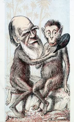 Comedy Drawing on Darwin