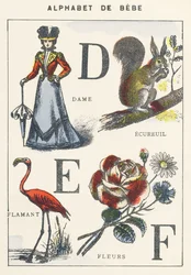 D E F: Lady, Squirrel, Flamingo, Flowers