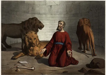 Daniel, thrown to lions by the king, is protected by an angel of the lord who calms the beasts. Anonymous engraving from the middle of the 19th century.