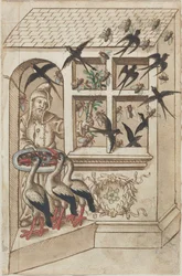 Do Not Have Swallows under the Same Roof