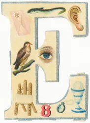 Envelope, eel, ear, eagle, eye, easel, eight, eyeglass, egg