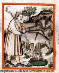 Esa Grazes Donkeys - the Pentateuch. Miniature from Codex 212 (or Padovano Codice or Bible of Padua) 1390-1400 Rovigo, Accademia dei Concordi