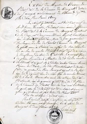 Extract from the Register of Birth of the State-Civil of the Municipality of Dommyrot, Certified Copy of February 2