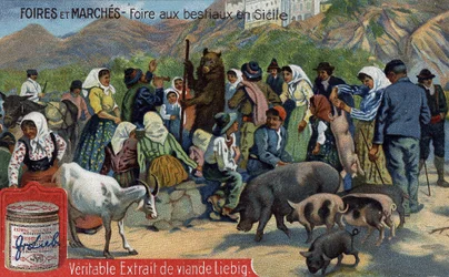 Fairs and markets: cattle fair in Sicily