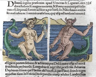 Fantastic creatures: A newt and a siren seen in the Nile. Engraving from Le livre des prodiges (Prodigiorum ac ostentorum Chronicon Basileae) by Wolfhart (Conrad Lycosthene) 1557
