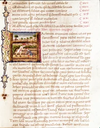 Farmers Planting Vineyards