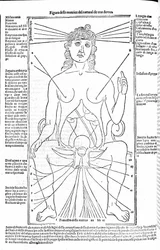 Female reproductive apparatus - in Treatise of Medicine by Gerolamo Cardano, Florence 1585