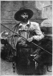 Former farmer: buffalo driver (buffalo breeding for mozzarella)