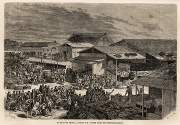 General View of the Fish Market