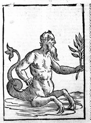 Glaucus with the Magic Grass That Will Allow Him to Live in the Sea - in Mythologiae Sive Explicationis Fabularum by Natalis Comes, Patavia