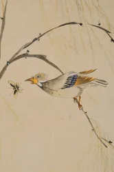 Hwajodo