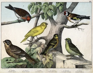 Illustration for 