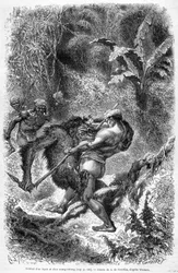 Illustration published in the 1862 edition of Le Tour du monde depicting a battle between a dayak and an orang outan (orang-utan, orang outang, orang-utang) on the island of Borneo. Engraving