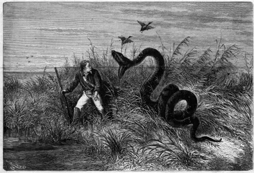 Incident in the savannah of a duck hunt. Excerpt from 