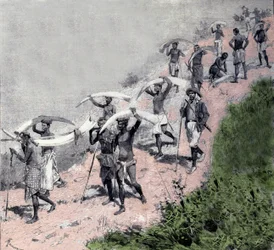 Ivory trade: caravan of Congolese carriers carrying elephant tusks. Engraving of the 19th century.