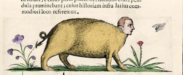The Manticore - in 