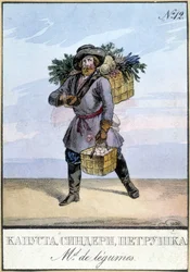 Legumes Dealer in Russia in the 19th Century