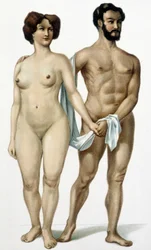 Man and woman - book of medicine, late 19th century