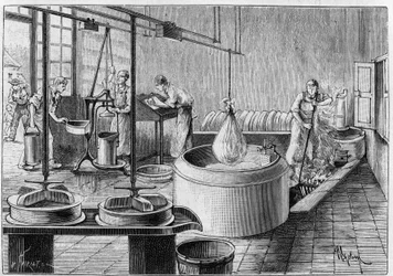 Manufacture of Gruyere: A Modern Cheese Factory