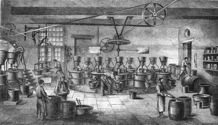 Manufacture of mustard and canned food at Louit Freres in Bordeaux. Engraving from 1865