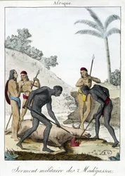 Military oath of the inhabitants of Madagascar (slaughtered an ox) - engraving, 1811