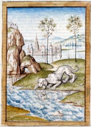 Miniature Animals from a German translation of the fables of 