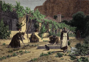Monastery vegetable garden: monks