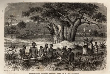 Musicians playing marimba on the banks of the Zambezi River. Illustration for Dr. Livingstone