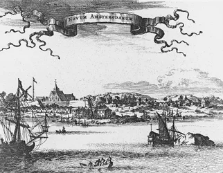 New Amsterdam (New York)