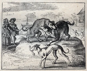 Old English Proverb: Two Dogs Strive for a Bone and the Third Takes It Away