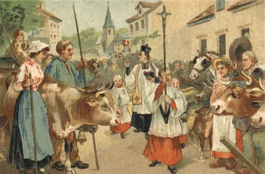 Old custom celebrated in the Nivernais region: the blessing of the herds