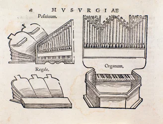 Organ representation from Musurgia practical manual of music