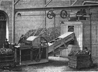 Paper making in the 19th century