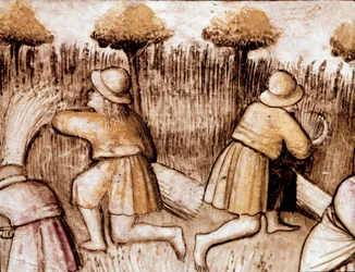 Peasants mowing wheat