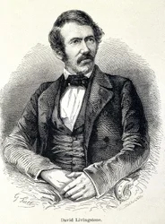 Portrait of David Livingstone