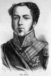 Portrait of Don Pedro