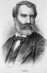Portrait of Eugene Pelletan (1813-1884), French journalist, writer and politician
