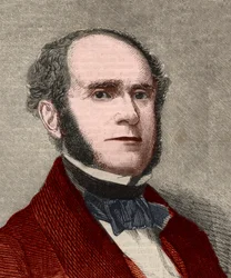 Portrait of Fitz-Greene Halleck, American poet. Engraving in 