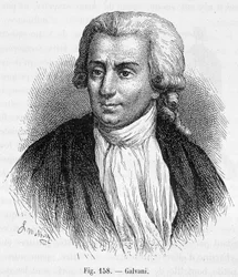 Portrait of Luigi Galvani, Italian physician and physicist (1737 - 1798) - in 
